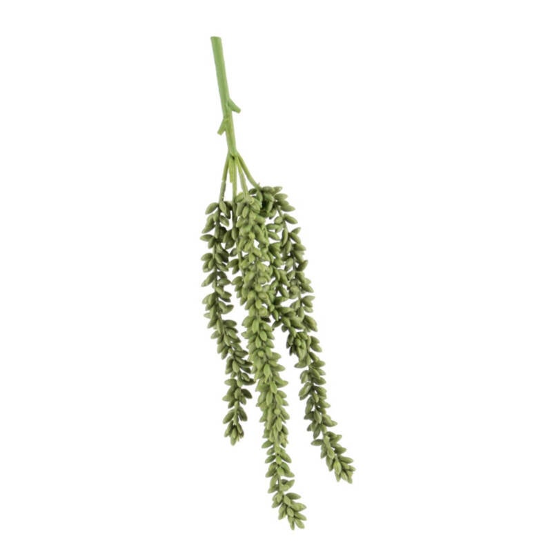 Erwten plantje Groen