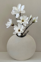 Ovale vaas cr&egrave;me kleur met Magnolia takken.