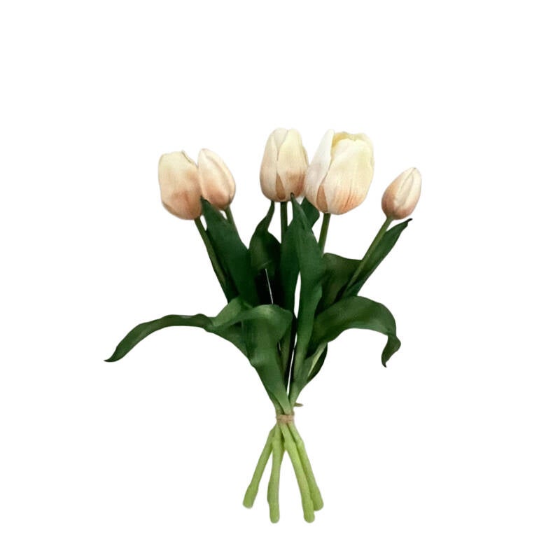 Real Touch tulpen crem&eacute; / zalm 5stuks